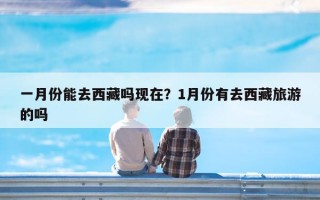 一月份能去西藏吗现在？1月份有去西藏旅游的吗