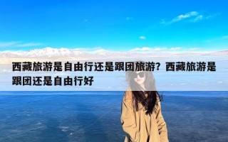 西藏旅游是自由行还是跟团旅游？西藏旅游是跟团还是自由行好
