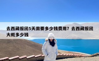 去西藏报团5天需要多少钱费用？去西藏报团大概多少钱