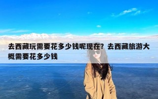 去西藏玩需要花多少钱呢现在？去西藏旅游大概需要花多少钱