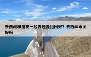 去西藏和朋友一起去还是组团好？去西藏跟团好吗