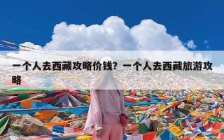 一个人去西藏攻略价钱？一个人去西藏旅游攻略