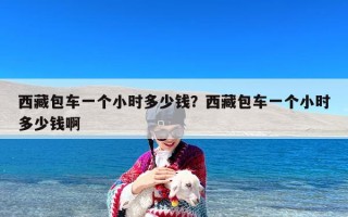 西藏包车一个小时多少钱？西藏包车一个小时多少钱啊