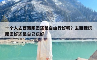 一个人去西藏跟团还是自由行好呢？去西藏玩跟团好还是自己玩好