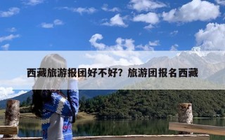 西藏旅游报团好不好？旅游团报名西藏
