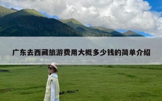 广东去西藏旅游费用大概多少钱的简单介绍