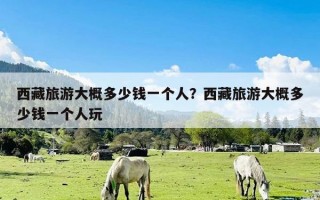 西藏旅游大概多少钱一个人？西藏旅游大概多少钱一个人玩