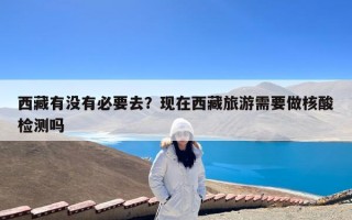 西藏有没有必要去？现在西藏旅游需要做核酸检测吗