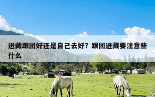 进藏跟团好还是自己去好？跟团进藏要注意些什么