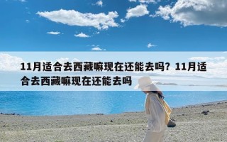11月适合去西藏嘛现在还能去吗？11月适合去西藏嘛现在还能去吗