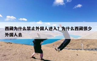 西藏为什么禁止外国人进入？为什么西藏很少外国人去