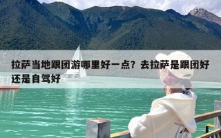 拉萨当地跟团游哪里好一点？去拉萨是跟团好还是自驾好