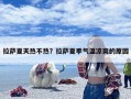 拉萨夏天热不热？拉萨夏季气温凉爽的原因