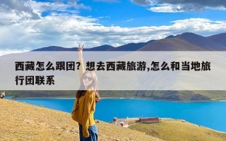 西藏怎么跟团？想去西藏旅游,怎么和当地旅行团联系