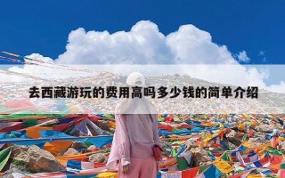 去西藏游玩的费用高吗多少钱的简单介绍