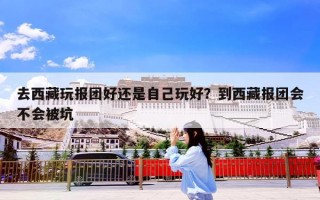 去西藏玩报团好还是自己玩好？到西藏报团会不会被坑