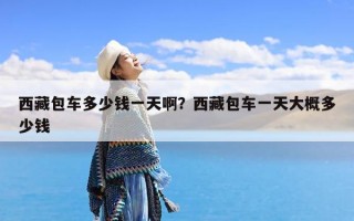 西藏包车多少钱一天啊？西藏包车一天大概多少钱