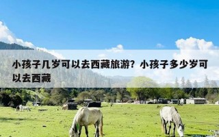 小孩子几岁可以去西藏旅游？小孩子多少岁可以去西藏