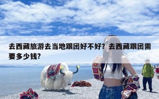 去西藏旅游去当地跟团好不好？去西藏跟团需要多少钱?