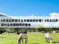 8月去拉萨穿什么衣服拍照好看？8月去拉萨穿什么衣服拍照好看些