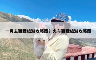 一月去西藏旅游攻略图？火车西藏旅游攻略图