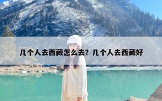 几个人去西藏怎么去？几个人去西藏好