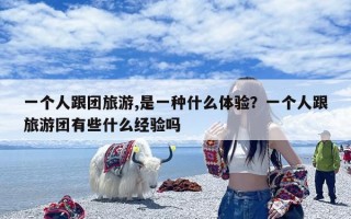 一个人跟团旅游,是一种什么体验？一个人跟旅游团有些什么经验吗