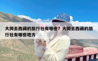 大同去西藏的旅行社有哪些？大同去西藏的旅行社有哪些地方