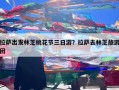 拉萨出发林芝桃花节三日游？拉萨去林芝旅游团