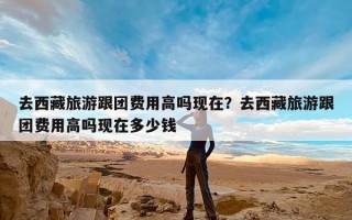 去西藏旅游跟团费用高吗现在？去西藏旅游跟团费用高吗现在多少钱
