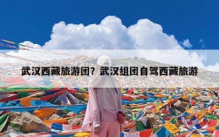 武汉西藏旅游团？武汉组团自驾西藏旅游