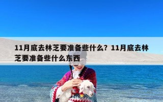 11月底去林芝要准备些什么？11月底去林芝要准备些什么东西