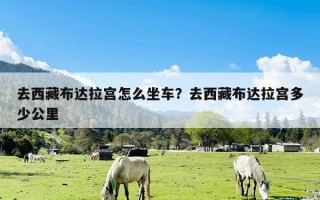 去西藏布达拉宫怎么坐车？去西藏布达拉宫多少公里