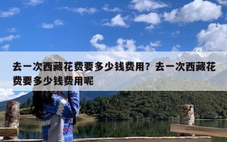 去一次西藏花费要多少钱费用？去一次西藏花费要多少钱费用呢