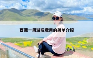 西藏一周游玩费用的简单介绍