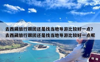 去西藏旅行跟团还是找当地导游比较好一点？去西藏旅行跟团还是找当地导游比较好一点呢