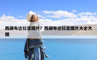 西藏布达拉宫图片？西藏布达拉宫图片大全大图