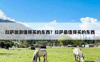 拉萨旅游值得买的东西？拉萨最值得买的东西