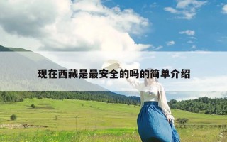 现在西藏是最安全的吗的简单介绍