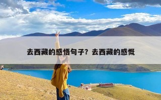 去西藏的感悟句子？去西藏的感慨