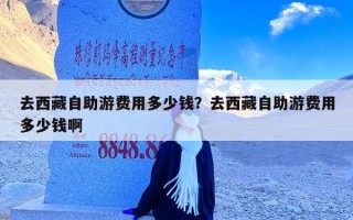 去西藏自助游费用多少钱？去西藏自助游费用多少钱啊