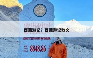 西藏游记？西藏游记散文