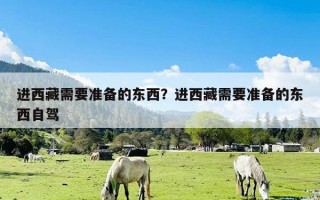 进西藏需要准备的东西？进西藏需要准备的东西自驾