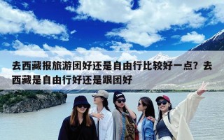 去西藏报旅游团好还是自由行比较好一点？去西藏是自由行好还是跟团好