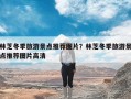 林芝冬季旅游景点推荐图片？林芝冬季旅游景点推荐图片高清