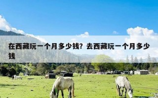在西藏玩一个月多少钱？去西藏玩一个月多少钱