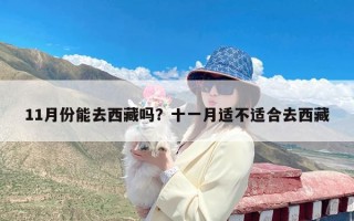 11月份能去西藏吗？十一月适不适合去西藏