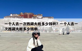 一个人去一次西藏大概多少钱啊？一个人去一次西藏大概多少钱啊