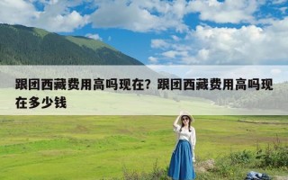 跟团西藏费用高吗现在？跟团西藏费用高吗现在多少钱