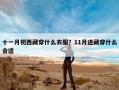 十一月初西藏穿什么衣服？11月进藏穿什么合适
